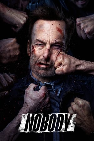 Nobody (2021) (Cleaned) Dual Audio | Dubbed Hindi Movie Web-DL 320MB