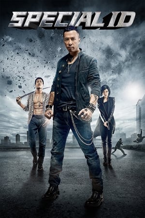 Special ID (2013) Dual Audio | Dubbed Hindi Movie BluRay [1.3GB] ESubs