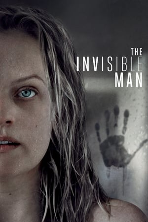 The Invisible Man (2020) (ORG) Dual Audio | Dubbed Hindi Movie BluRay [1GB]
