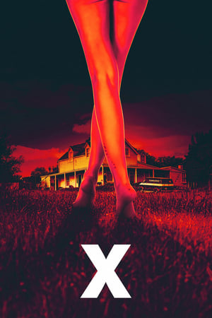 X (2022) Dual Audio HDRip | Dubbed Hindi Movie – 480p